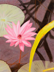 Lotus - painting and print